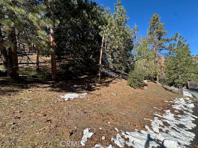 0 Flume Canyon, Wrightwood, CA 92397