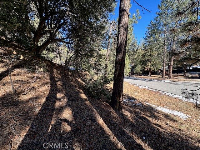 0 Flume Canyon, Wrightwood, CA 92397