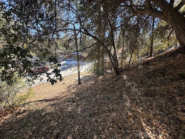 0 Flume Canyon, Wrightwood, CA 92397