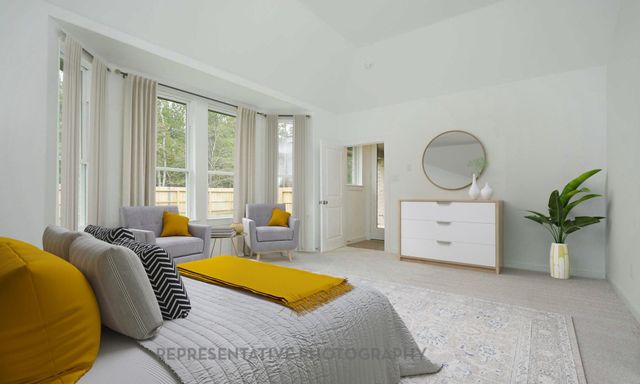 27010 Aurora Garden Lane, Katy, TX 77493