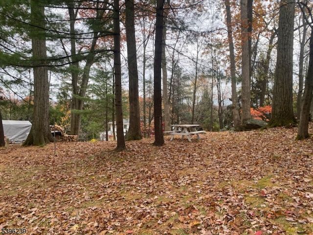 100 Wilson Ave, Wayne Twp., NJ 07470