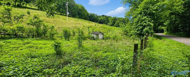 2039 Blackburn Road, Cornersville, TN 37047