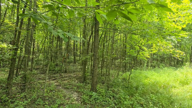 506 Cherry Street, Blanchester, OH 45107