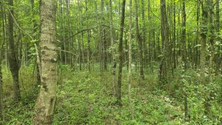 506 Cherry Street, Blanchester, OH 45107