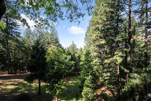 5307 Pine Ridge Dr, Grizzly Flats, CA 95636