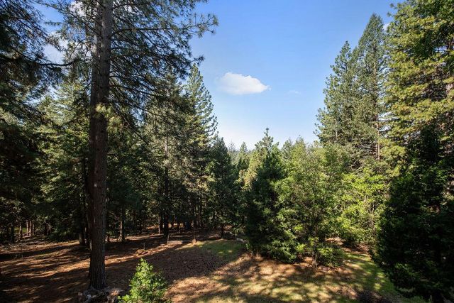 5307 Pine Ridge Dr, Grizzly Flats, CA 95636