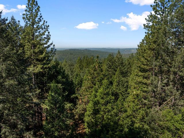 5307 Pine Ridge Dr, Grizzly Flats, CA 95636
