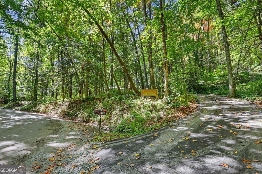 596 Moses Road, Rabun Gap, GA 30568 — photo 5