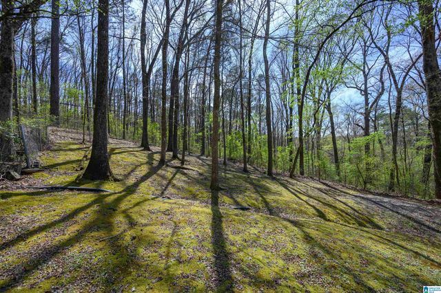 915 RICH ROAD, Birmingham, AL 35215