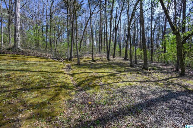 915 RICH ROAD, Birmingham, AL 35215