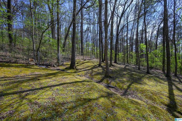 915 RICH ROAD, Birmingham, AL 35215