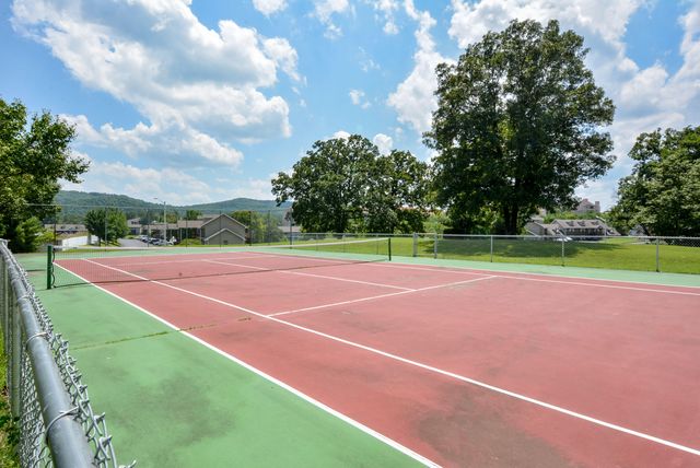 77 Anglers Pointe Drive 3, Branson, MO 65616