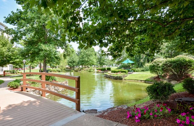 77 Anglers Pointe Drive 3, Branson, MO 65616