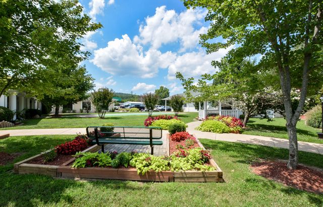 77 Anglers Pointe Drive 3, Branson, MO 65616