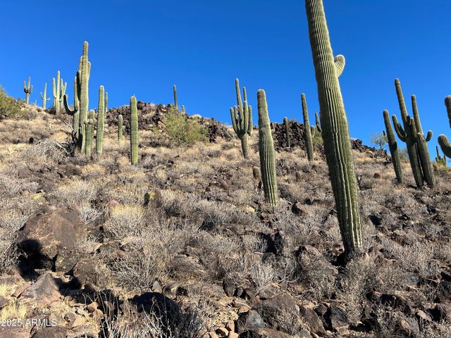 27xx W Maddock Road -, Phoenix, AZ 85086