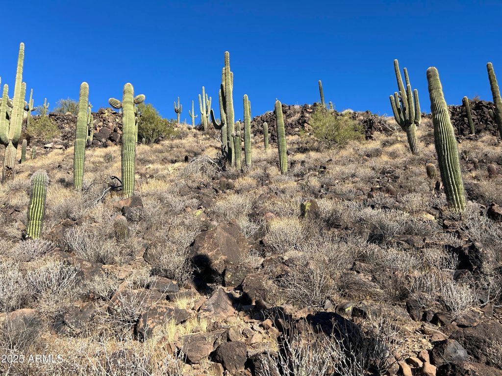 27xx W Maddock Road -, Phoenix, AZ 85086 — photo 2