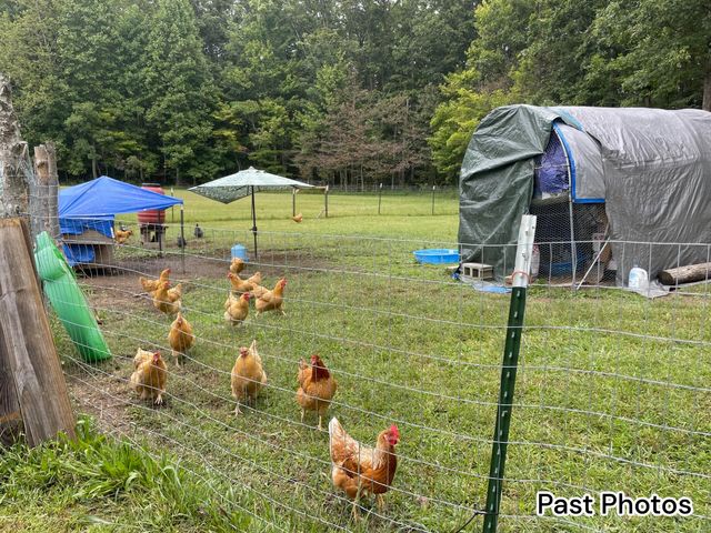 105 Stewart Fork Road, Irvine, KY 40336