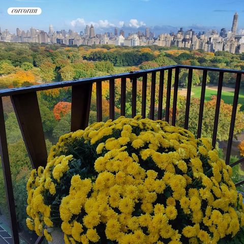 25 Central Park W Apt 21Q, New York City, NY 10023