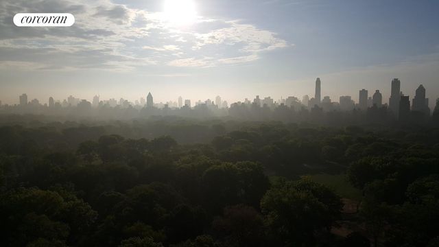 25 Central Park W Apt 21Q, New York City, NY 10023