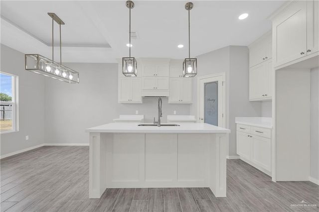 429 Serg Loop, Alamo, TX 78516