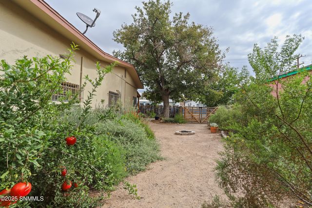 517 N Mesquite Street, Las Cruces, NM 88001