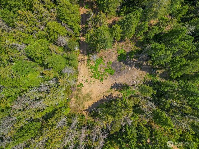 905 NE Tahuya Blacksmith Road, Tahuya, WA 98588