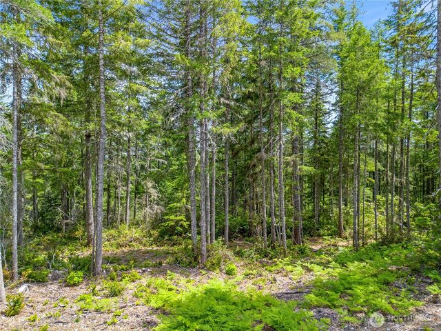 905 NE Tahuya Blacksmith Road, Tahuya, WA 98588