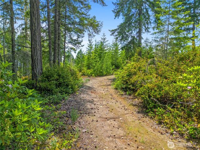 905 NE Tahuya Blacksmith Road, Tahuya, WA 98588