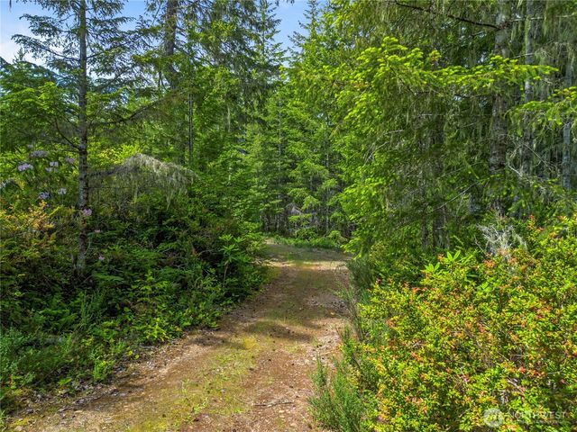 905 NE Tahuya Blacksmith Road, Tahuya, WA 98588