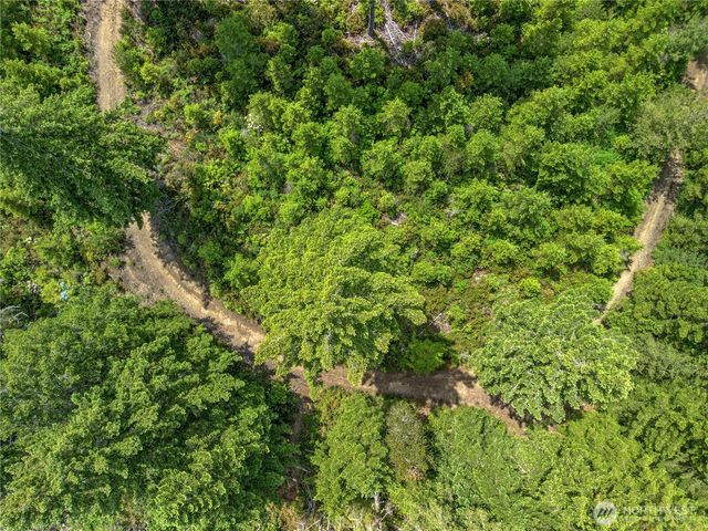 905 NE Tahuya Blacksmith Road, Tahuya, WA 98588