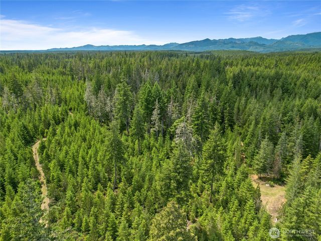 905 NE Tahuya Blacksmith Road, Tahuya, WA 98588