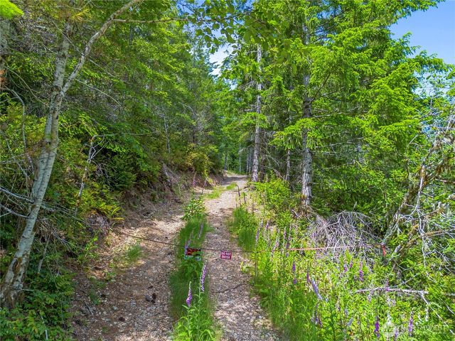 905 NE Tahuya Blacksmith Road, Tahuya, WA 98588