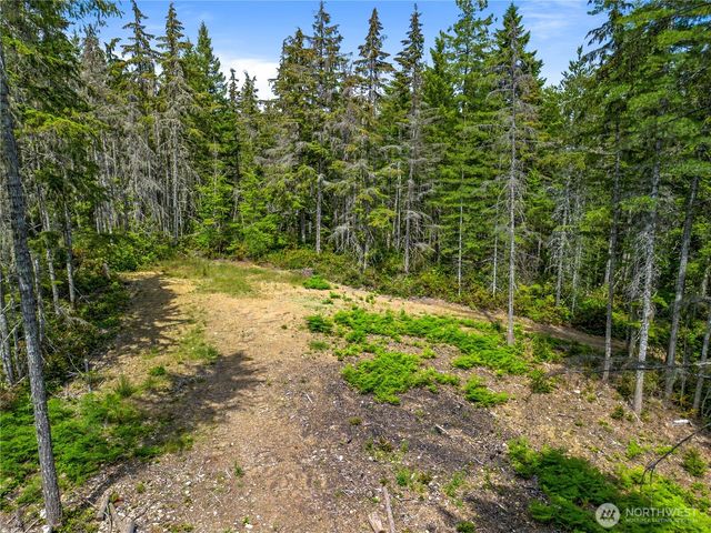 905 NE Tahuya Blacksmith Road, Tahuya, WA 98588