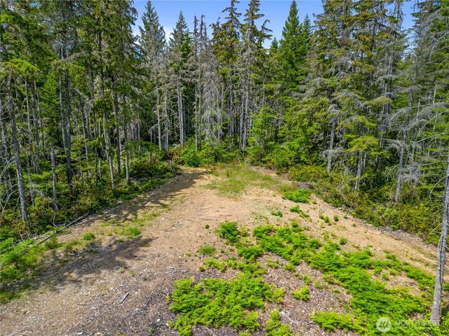 905 NE Tahuya Blacksmith Road, Tahuya, WA 98588