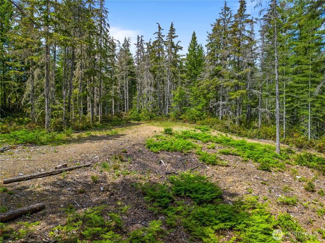 905 NE Tahuya Blacksmith Road, Tahuya, WA 98588