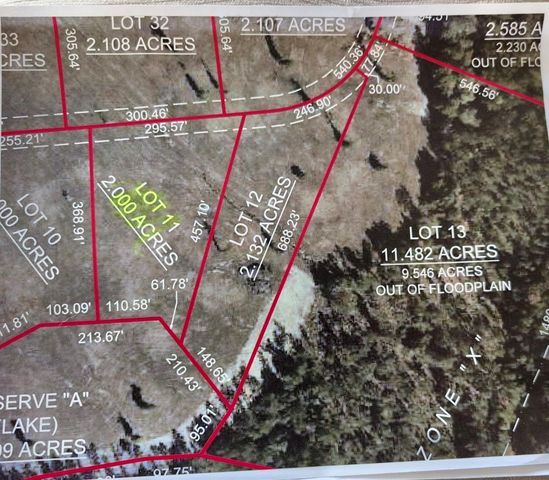 0 Stillwater Drive, Livingston, TX 77351