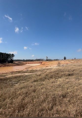 0 Stillwater Drive, Livingston, TX 77351