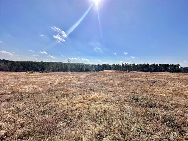 0 Stillwater Drive, Livingston, TX 77351