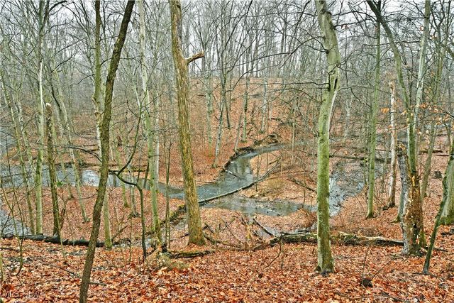 2613 Cadwallader Sonk Road, Cortland, OH 44410