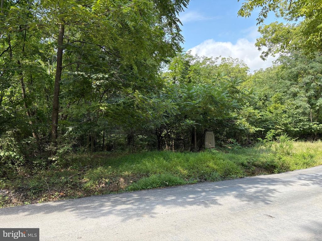 DRUMMER HILL RD, Front Royal, VA 22630