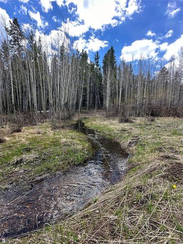 1101 CR 99, Black Hawk, CO 80422