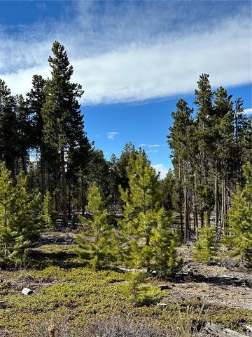 1101 CR 99, Black Hawk, CO 80422