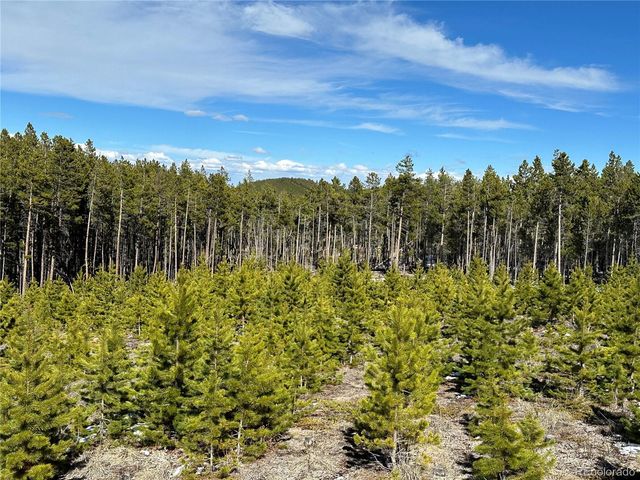 1101 CR 99, Black Hawk, CO 80422