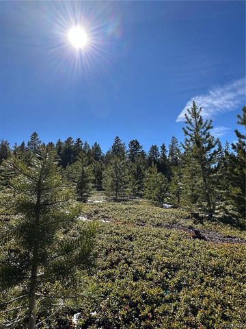 1101 CR 99, Black Hawk, CO 80422