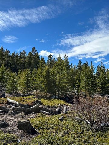 1101 CR 99, Black Hawk, CO 80422