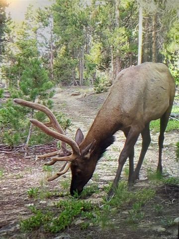 1101 CR 99, Black Hawk, CO 80422