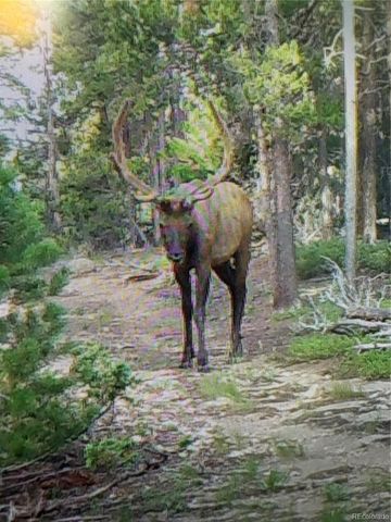 1101 CR 99, Black Hawk, CO 80422