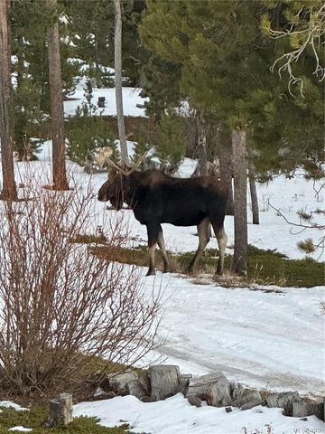 1101 CR 99, Black Hawk, CO 80422