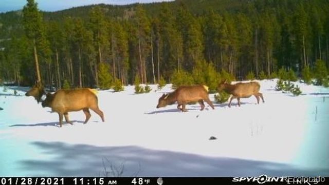1101 CR 99, Black Hawk, CO 80422