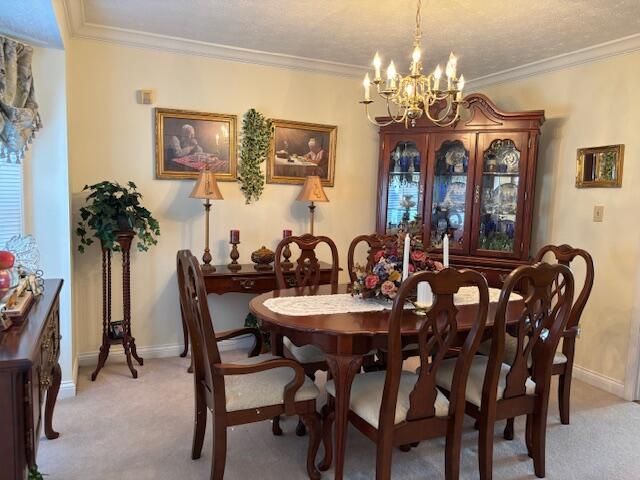 229 Shearwood Avenue, Somerset, KY 42503